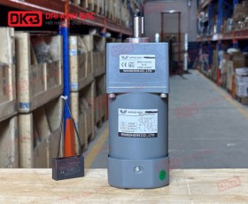 MOTOR GIẢM TỐC MINI WANSHSIN 90W 90YS90WGV22 + 90GF-15-H