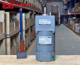 MOTOR GIẢM TỐC MINI WANSHSIN 90W 90YS90WGV22 + 90GF-5-H