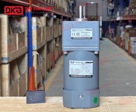 MOTOR GIẢM TỐC MINI WANSHSIN 90W 90YS90WGV22 + 90GF-60-H
