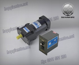 Speed control motor 60w 5IK60RGU-CF