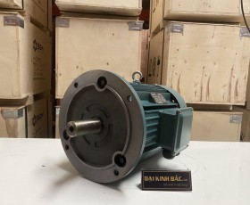 Thông Số Motor Điện 110KW - 150HP