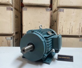 Thông Số Motor Điện 132KW - 180HP